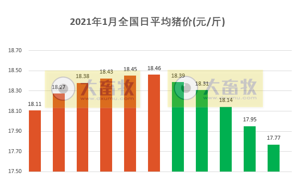 2021.01.11-今日猪价继续下跌,新希望2位高管辞职并推出史上最大力度的10亿市值股权激励计划,上市猪企和生猪期货行情一片绿油油