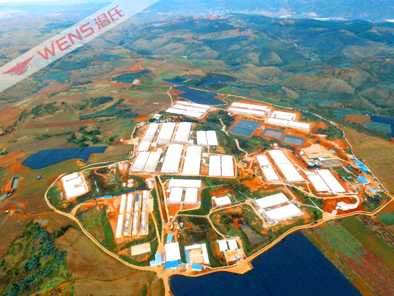 2021.01.12-今日猪价涨跌平衡,12月CPI同环比均上涨,6家上市猪企2020年生猪销量超5000万头,又有700头法国种猪入境,2021年全国所有猪要进行O型口蹄疫强制免疫