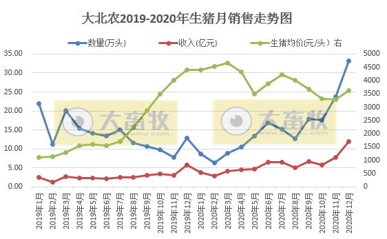 2020开疆拓土，2021将牛气冲天，12家上市猪企2020年12月生猪销售情况