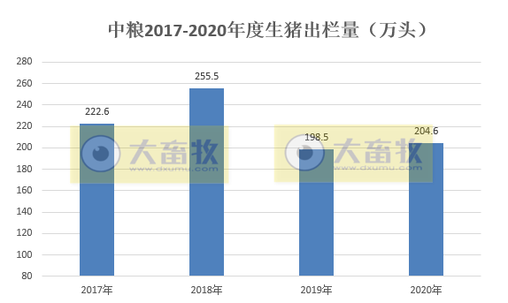 2020开疆拓土，2021将牛气冲天，12家上市猪企2020年12月生猪销售情况