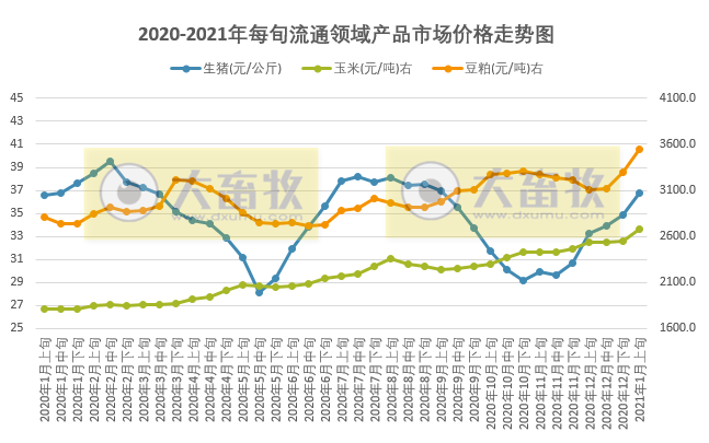 2021.01.14-今日猪价继续上涨,多地破19冲20,今年第2批储备冻猪肉来了,2020年猪肉抽检合格率99.5%饲料98.1%,东莞一冷库进口冻鸡爪新冠病毒核酸呈阳性