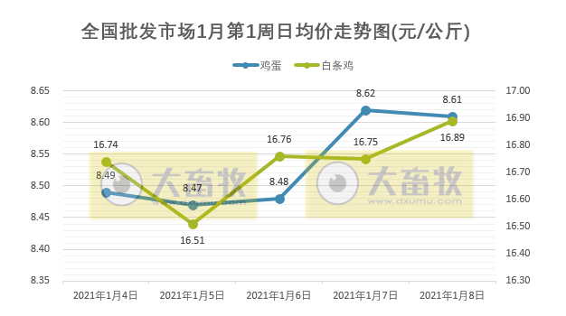 【家禽周报】家禽产品价格上涨，未来肉鸡养殖预测亏损为0.36元/只，而蛋鸡盈利13.24元/只，梧州温氏平均每天30吨鸡蛋销往广东