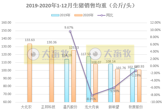 2020开疆拓土，2021将牛气冲天，12家上市猪企2020年12月生猪销售情况