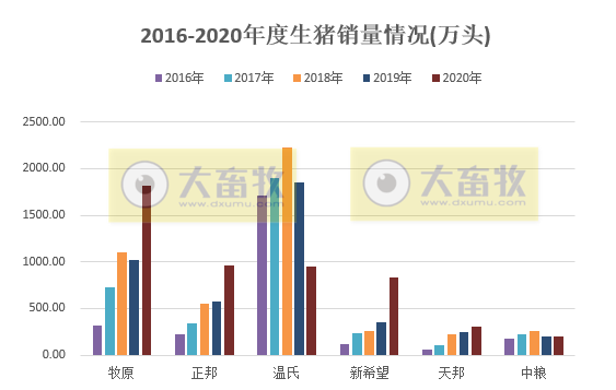 2020开疆拓土，2021将牛气冲天，12家上市猪企2020年12月生猪销售情况