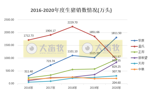 2020开疆拓土，2021将牛气冲天，12家上市猪企2020年12月生猪销售情况