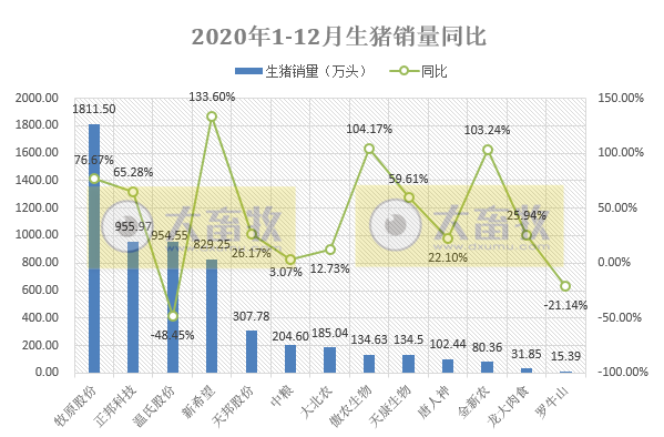 2020开疆拓土，2021将牛气冲天，12家上市猪企2020年12月生猪销售情况
