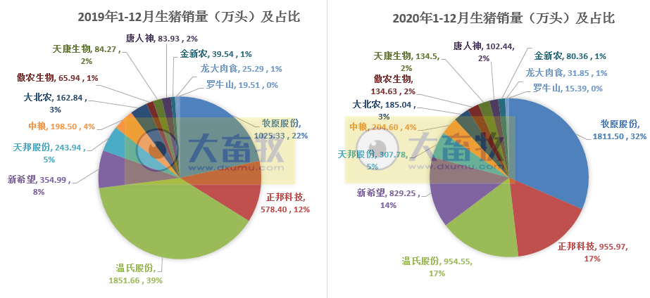 2020开疆拓土，2021将牛气冲天，12家上市猪企2020年12月生猪销售情况