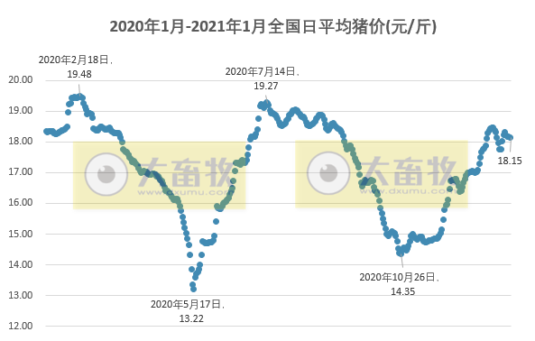 2021.01.19-今日猪价东北下跌，二元母猪价格连涨4周后下跌，玉米价格出现大幅度上涨，四川2020年生猪出栏量全国第一，牧原新设7家种猪育种孙公司