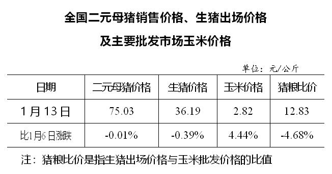2021.01.19-今日猪价东北下跌，二元母猪价格连涨4周后下跌，玉米价格出现大幅度上涨，四川2020年生猪出栏量全国第一，牧原新设7家种猪育种孙公司