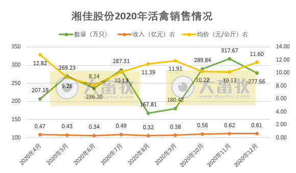 温氏肉鸡销售突破10亿只、益生民和鸡苗价格低迷,华英鸭苗销售量持续下跌,8家上市家禽企业2020年12月销售情况