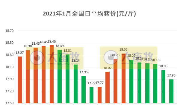 2021.01.21-今日猪价下跌幅度扩大，跌破18元，我国非洲猪瘟疫苗有新进展，玉米豆粕价格出现大幅度上涨创新高，昔日“养猪大王”温氏的目标不是中国养猪第一或世界养猪第一