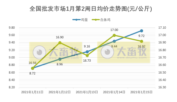 【家禽周报】1月第2周家禽产品价格呈上涨走势