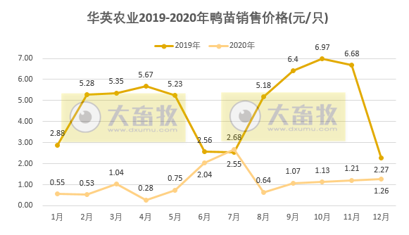 华英农业2020年鸭苗销售收入同比减少89%