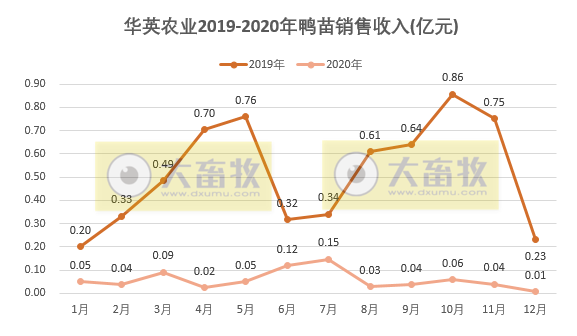华英农业2020年鸭苗销售收入同比减少89%