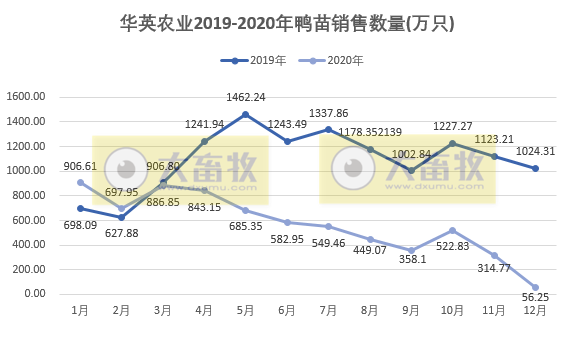 华英农业2020年鸭苗销售收入同比减少89%