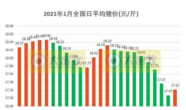 2021.01.25-今日猪价东北一夜飞涨，饲企再次宣布饲料上涨，有的3天涨900，正邦募资2.43亿向122位骨干推持股计划，新希望目前有3家生猪屠宰厂产能450万头