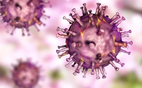 外媒：越南有望成为第一个研制出非洲猪瘟疫苗的国家