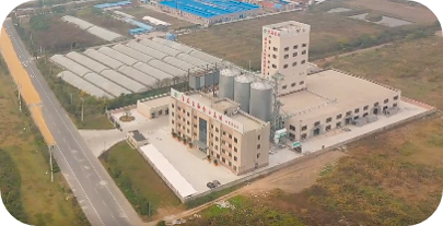 江苏京海禽业2020年24万只进口种鸡全部安全入境