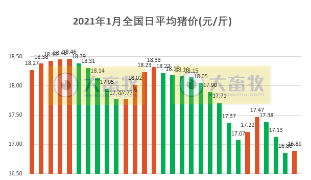 2021.01.30-今日猪价迎来上涨，益生募资15.7亿用于12个养殖和研发项目，傲农净利润增长20倍，正邦新五丰均翻倍增长，中牧盈利约4亿