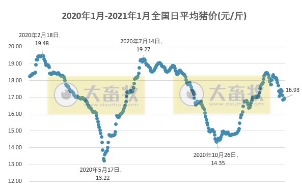 2021.01.31-今日猪价多地上涨西南下跌,2020年全球饲料产量近12亿吨中国排第一,新希望又收购2家饲料厂,金新农预计最低盈利1.5亿