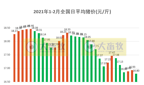 2021.02.01-今日猪价下跌至今年以来最低价，二元母猪价格连续10个月在70元/公斤以上，新希望出现新型非洲猪瘟毒株？正邦去年第4季度淘汰45万头母猪