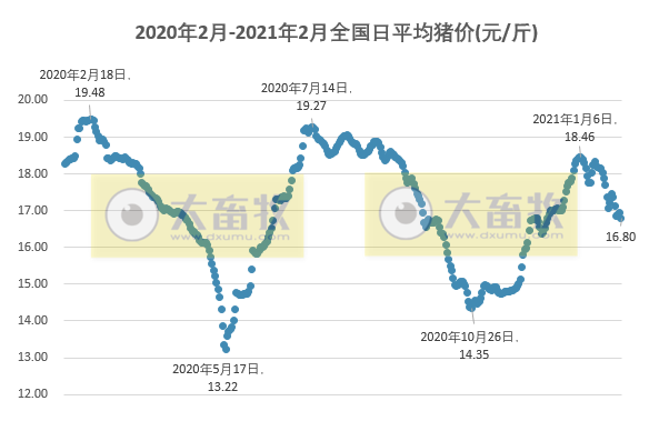 2021.02.01-今日猪价下跌至今年以来最低价，二元母猪价格连续10个月在70元/公斤以上，新希望出现新型非洲猪瘟毒株？正邦去年第4季度淘汰45万头母猪