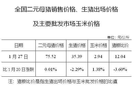 2021.02.01-今日猪价下跌至今年以来最低价，二元母猪价格连续10个月在70元/公斤以上，新希望出现新型非洲猪瘟毒株？正邦去年第4季度淘汰45万头母猪