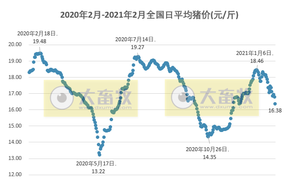 2021.02.02-今日猪价一片绿油油，最高跌1元，大北农董事长邵根伙拟减持公司8000多万股股份，唐人神拟7.38亿建设3个生猪项目，中牧兰州新厂获双证年产能5亿头份