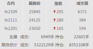 2021.02.02-今日猪价一片绿油油，最高跌1元，大北农董事长邵根伙拟减持公司8000多万股股份，唐人神拟7.38亿建设3个生猪项目，中牧兰州新厂获双证年产能5亿头份