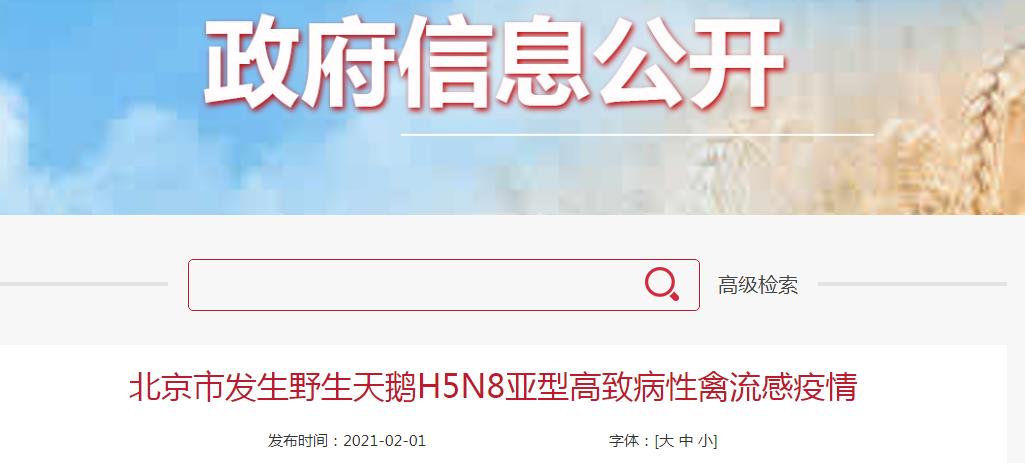今年第2起！北京市发生一起野生天鹅H5N8亚型高致病性禽流感疫情