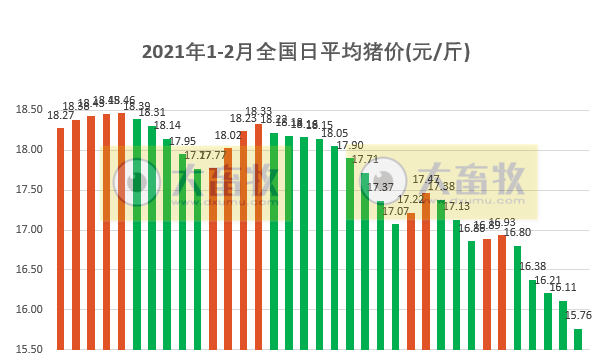 2021.02.05-今日猪价一片绿油油，跌破16元，又一次证实我国出现了非洲猪瘟变异毒株，屠企生猪收购价连跌2周，生猪期货行情上涨