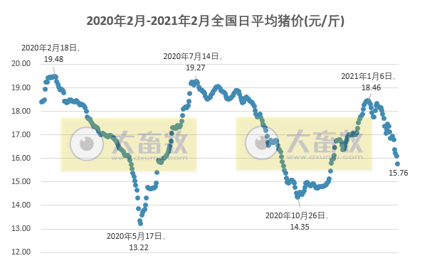 2021.02.05-今日猪价一片绿油油，跌破16元，又一次证实我国出现了非洲猪瘟变异毒株，屠企生猪收购价连跌2周，生猪期货行情上涨
