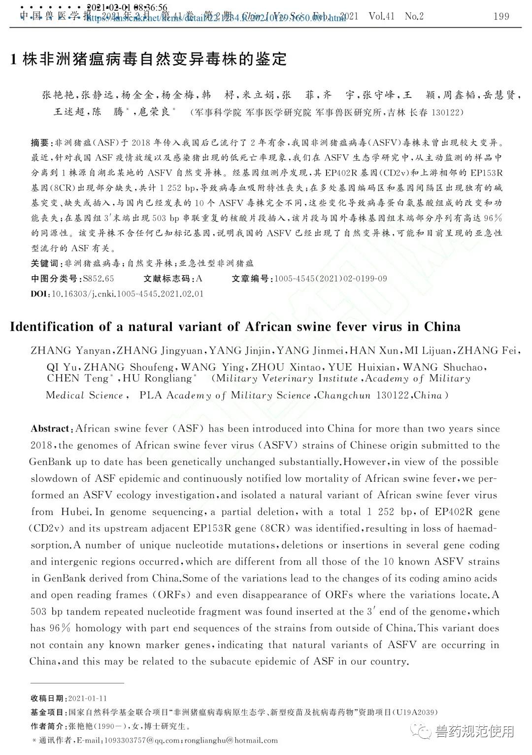 军科院研究论文：已鉴定出1株非洲猪瘟病毒自然变异毒株