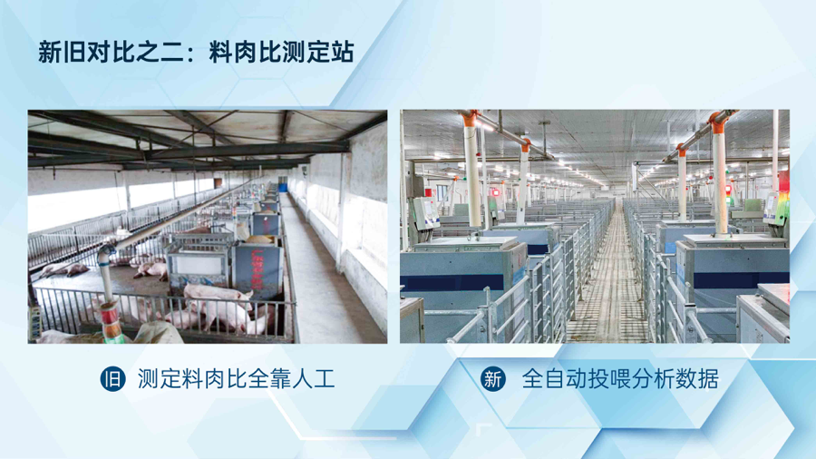 刘永好作客央视《对话》，与各路大咖共话一头猪的“中国芯”