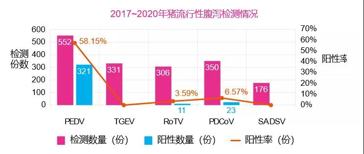 病毒性腹泻防控知多少?