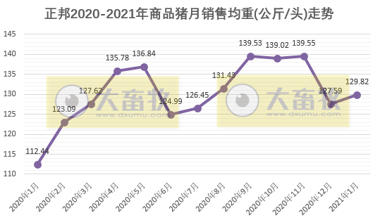 2021.02.09-今日猪价南涨北跌，年前最后一批中央储备冻猪肉投放，正邦1月生猪销量环降41%唐人神同增540%大北农同增250%，多国发生非洲猪瘟疫情