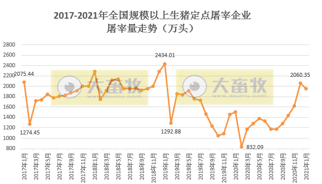 2021.02.10-今日猪价多省上涨，生猪屠宰价格连续3周下跌，2月玉米价格将继续高位运行，新希望1月生猪销量环减过半天康环减三成罗牛山同增6倍多