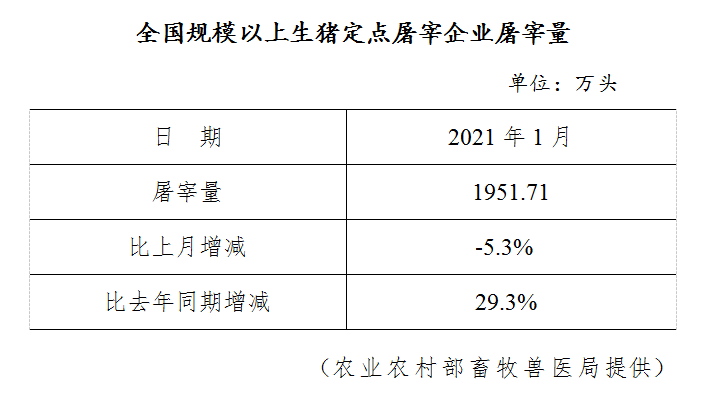 2021.02.10-今日猪价多省上涨，生猪屠宰价格连续3周下跌，2月玉米价格将继续高位运行，新希望1月生猪销量环减过半天康环减三成罗牛山同增6倍多