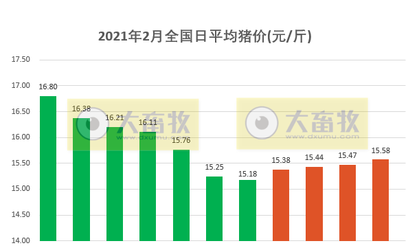 2021.02.11-今日猪价21省上涨,连涨4天