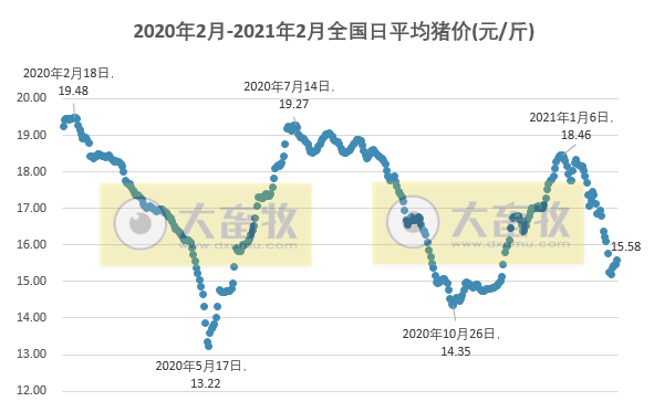 2021.02.11-今日猪价21省上涨,连涨4天
