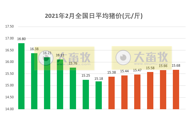 2021.02.14-今日猪价继续上涨，正邦今年上半年预计还要淘汰40万头母猪，金新农去年四季度为何亏损？