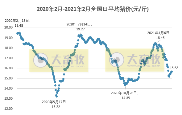 2021.02.14-今日猪价继续上涨，正邦今年上半年预计还要淘汰40万头母猪，金新农去年四季度为何亏损？
