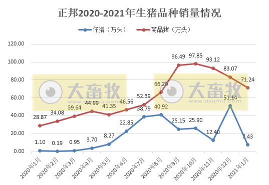 正邦1月生猪销量环比下降41.38%，销售收入远超于前4年同期
