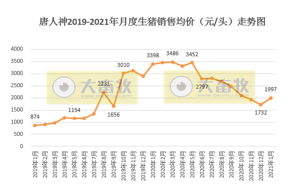 唐人神1月生猪销量同比增长540%,近2年内创新高