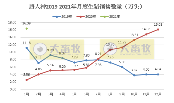 唐人神1月生猪销量同比增长540%,近2年内创新高