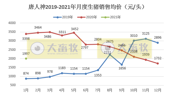 唐人神1月生猪销量同比增长540%,近2年内创新高