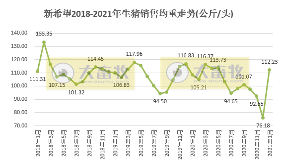 新希望1月生猪销量环比减少过半，销售均重恢复往常水平