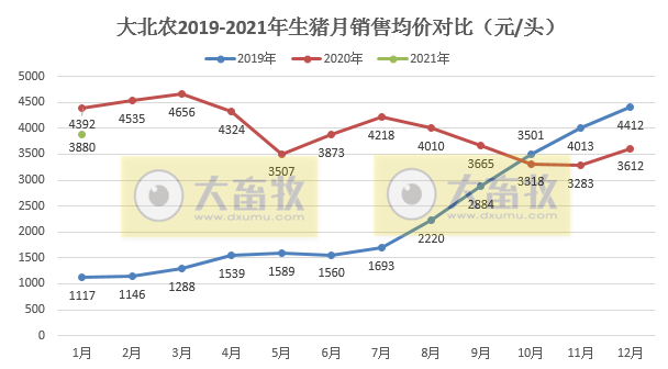大北农1月生猪销量同比增长250%