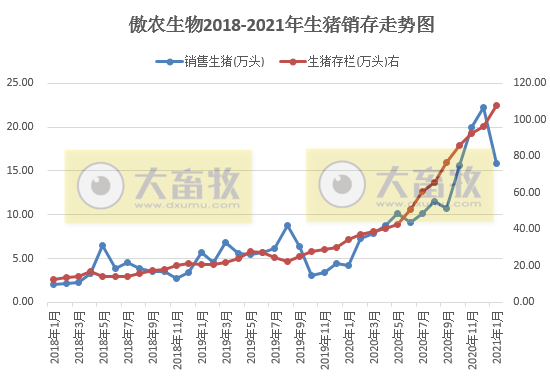 傲农生物:1月生猪销量同增近3倍环减近3成,生猪存栏环增11.67万头增12.1%