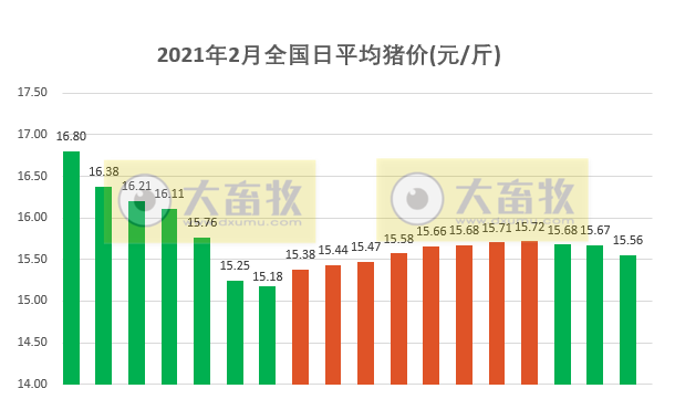2021.02.19-今日猪价大部分省份下跌,1月多家猪企生猪销量环降高达56%,今年以来全球已发生2100多起非洲猪瘟疫情,多家上市猪企涨停